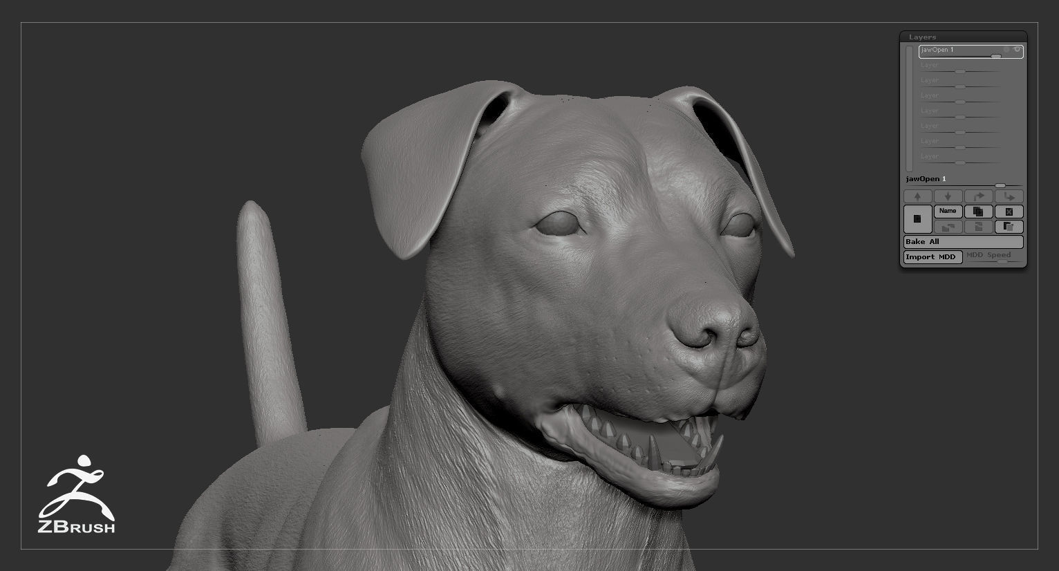 Jack Russell Real-Time Low-poly 3D model_41