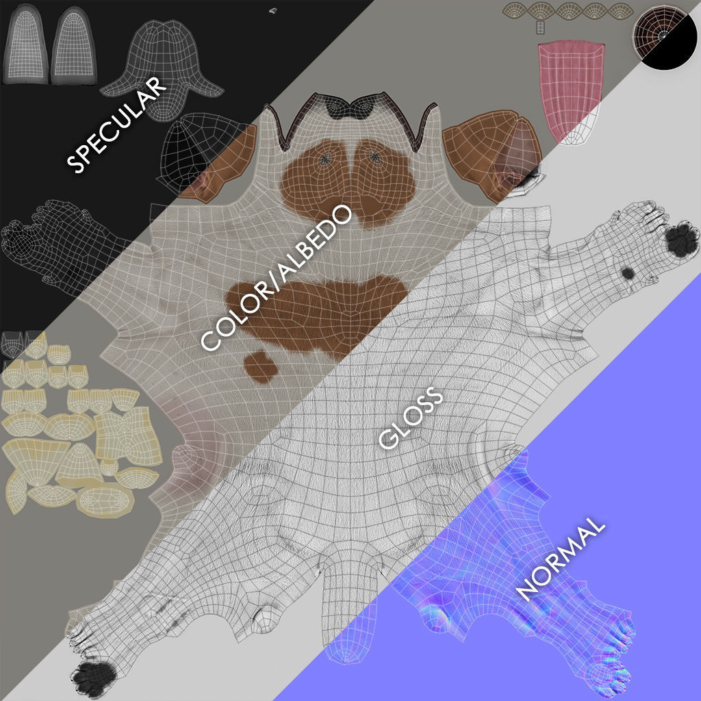 Jack Russell Real-Time Low-poly 3D model_43