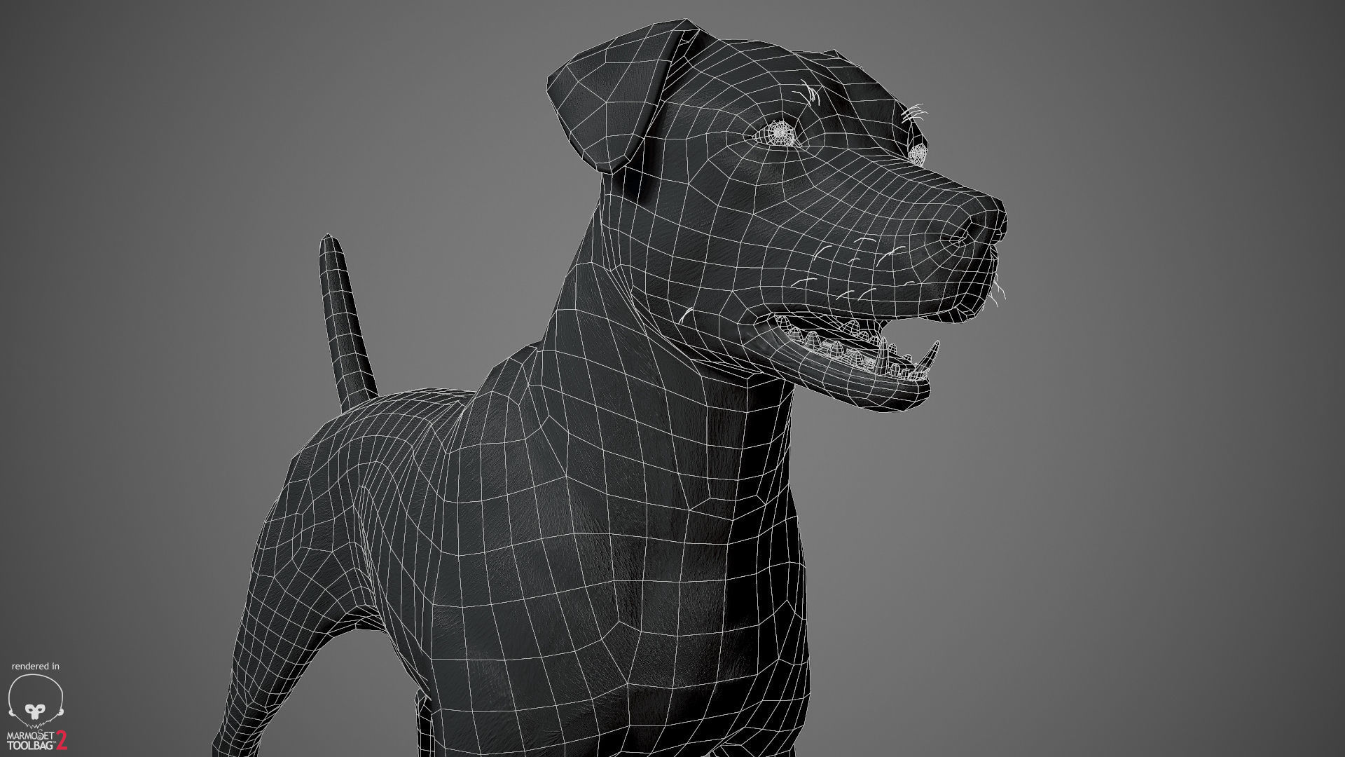 Jack Russell Real-Time Low-poly 3D model_34