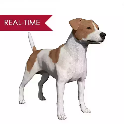 Jack Russell Real-Time Low-poly 3D model