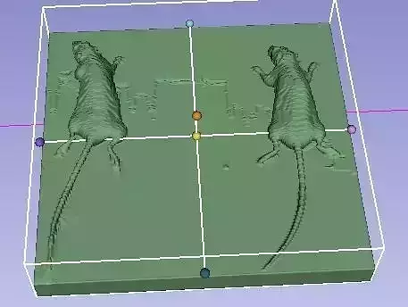 Real mouse CT STL file