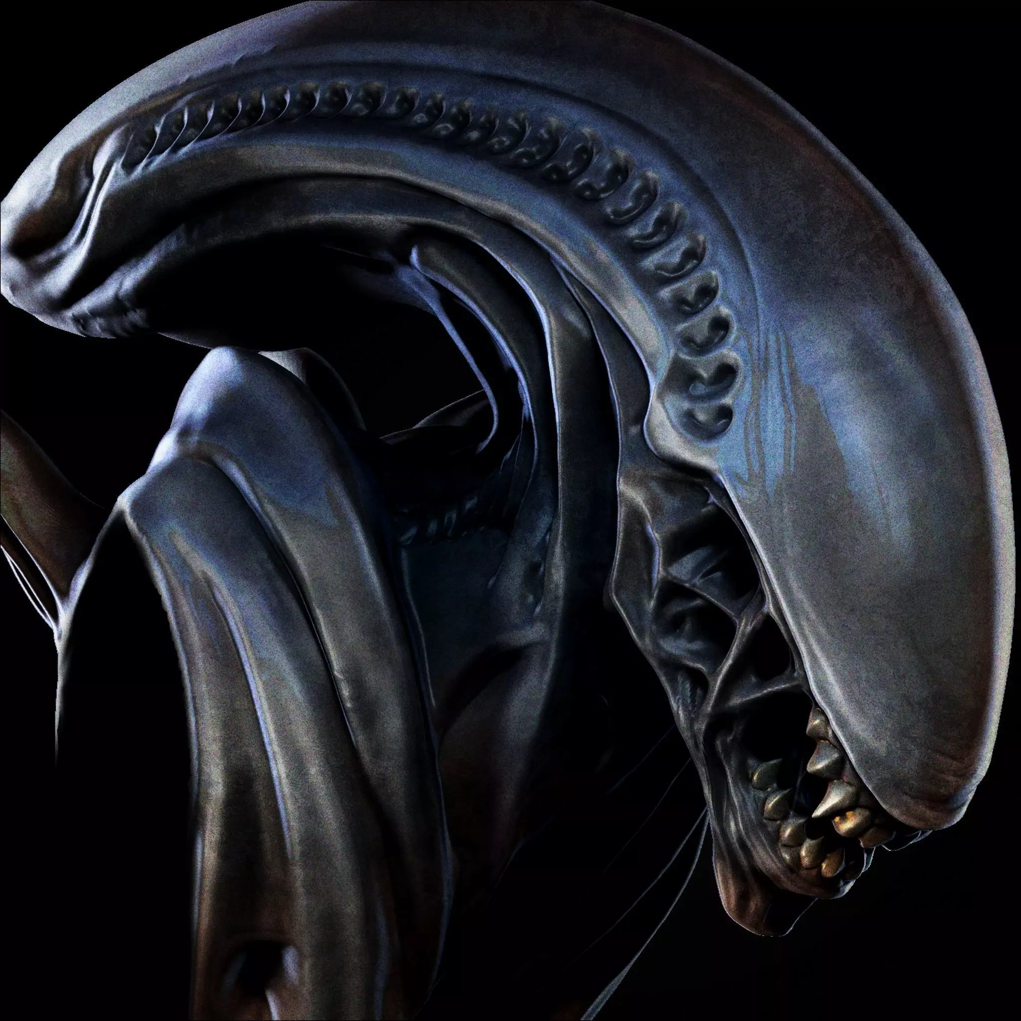 alien xenomorph bust 3D print model