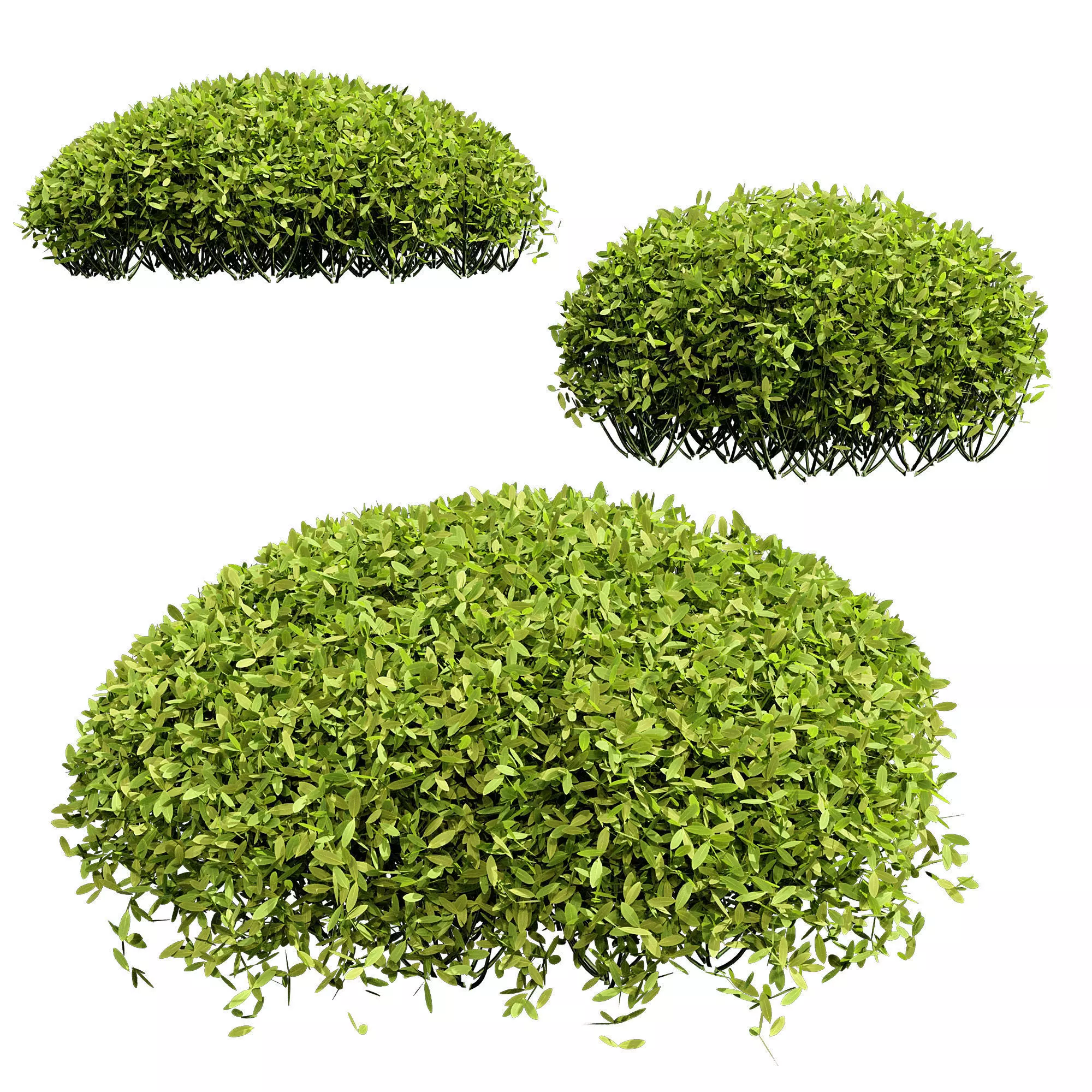 BUSHES COLLECTION NO1 A 3D model
