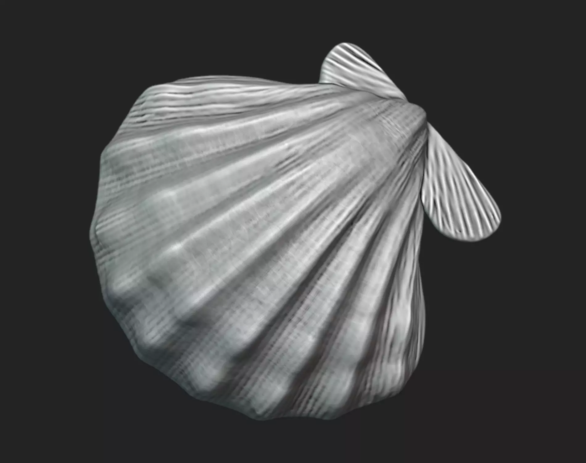 Giant Lions Paw Shell - 3D Printable Seashell Model 3D print model