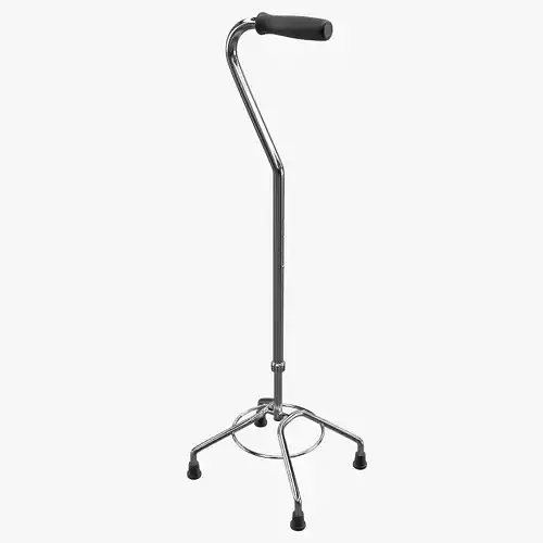 Quad Cane 3D model