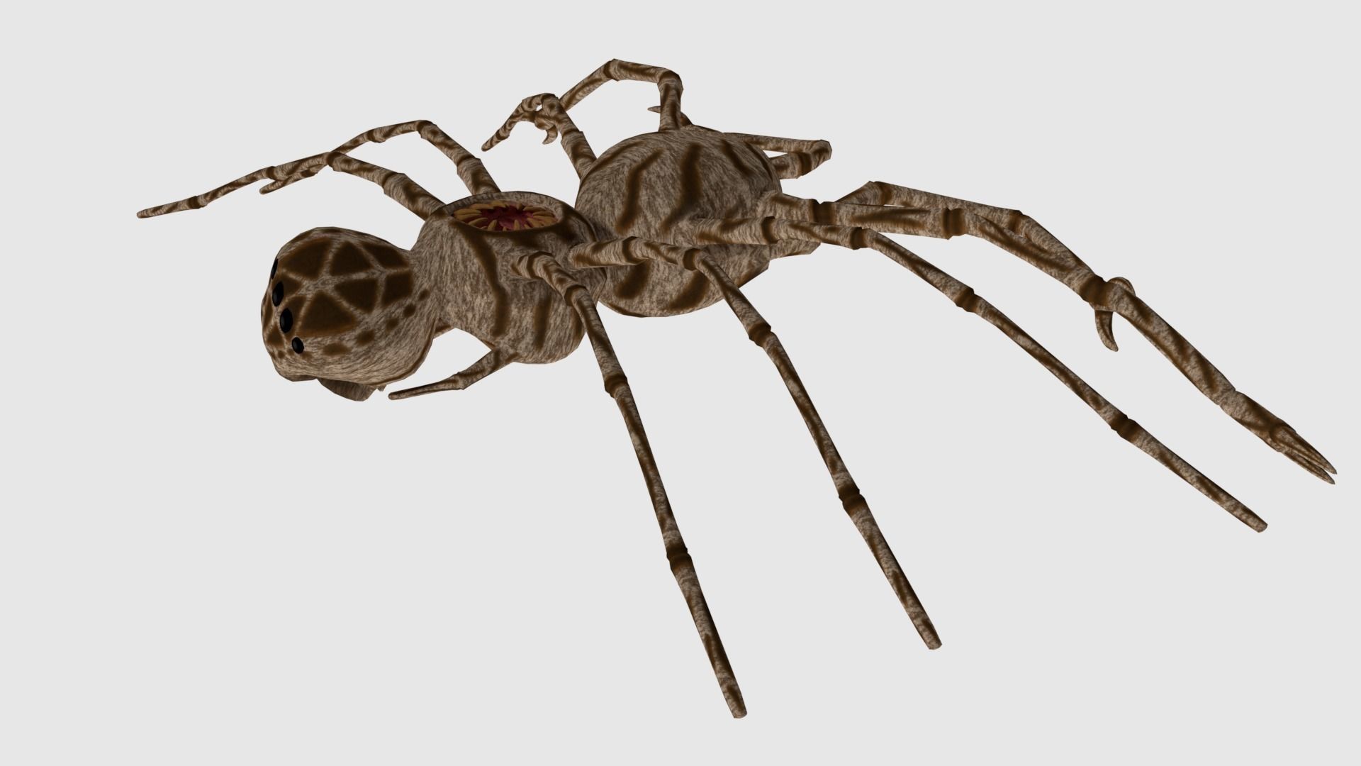 Spider Monster - Game Ready Low-poly 3D model_10