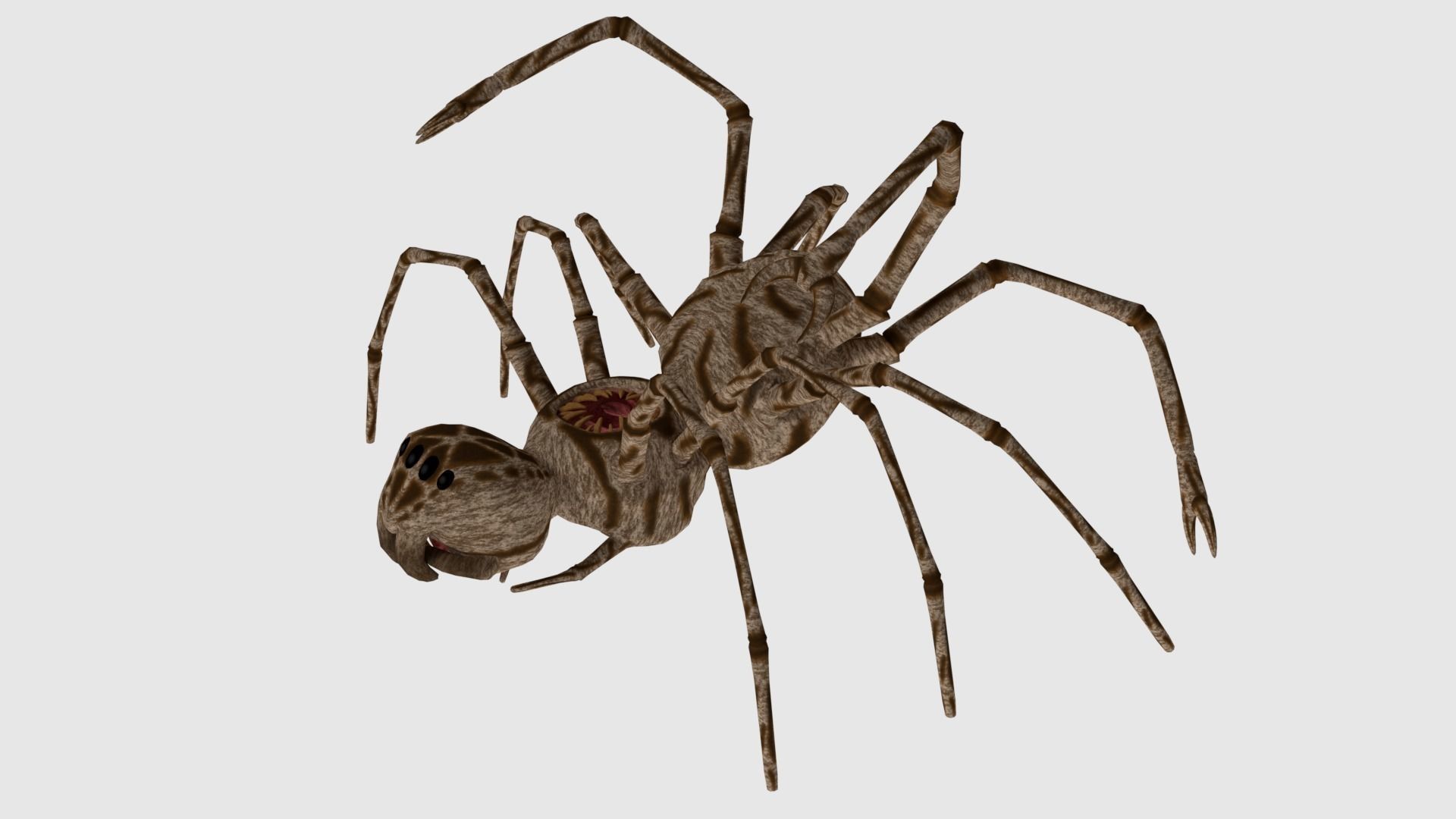 Spider Monster - Game Ready Low-poly 3D model_13