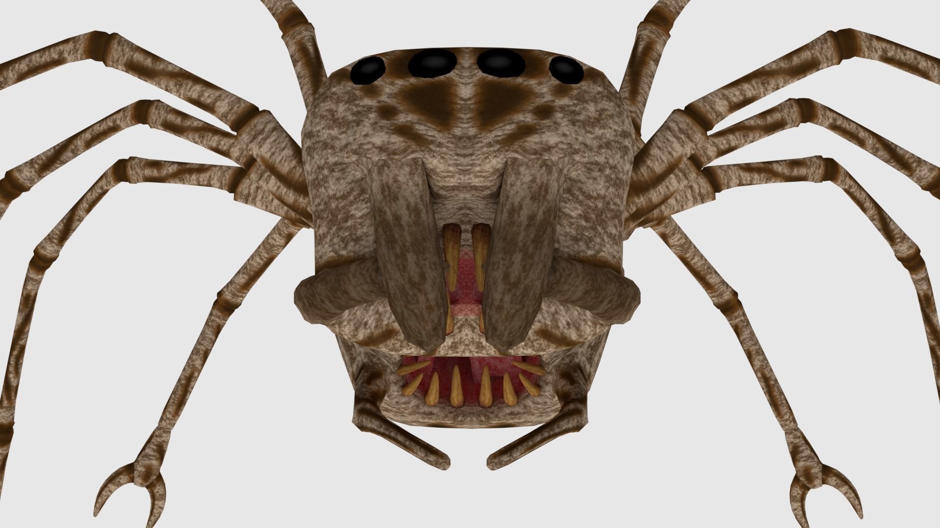 Spider Monster - Game Ready Low-poly 3D model_8