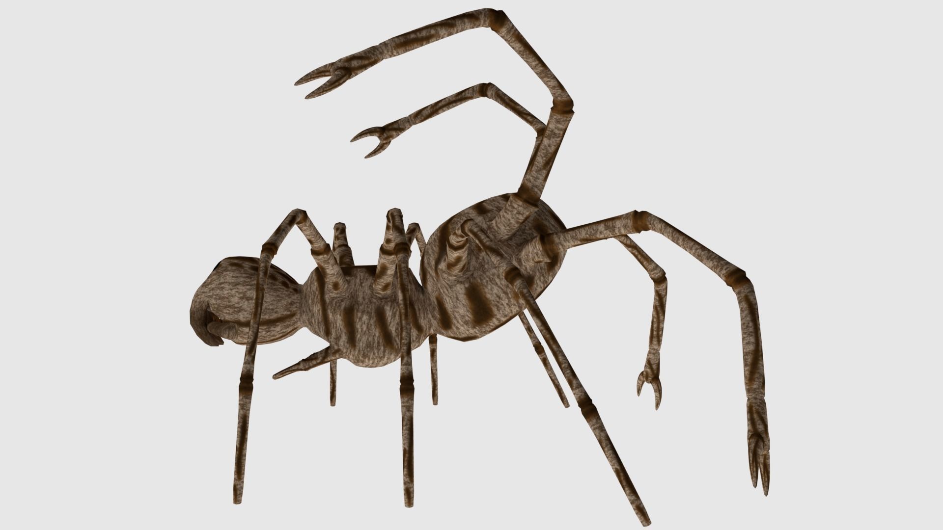 Spider Monster - Game Ready Low-poly 3D model_3