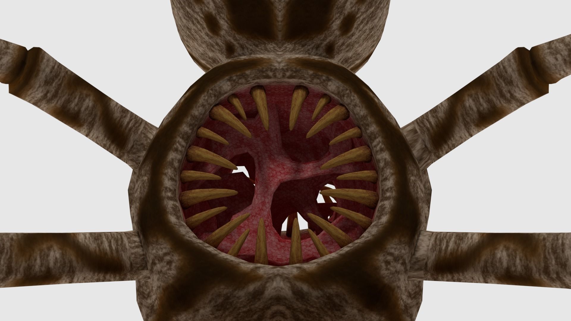 Spider Monster - Game Ready Low-poly 3D model_7