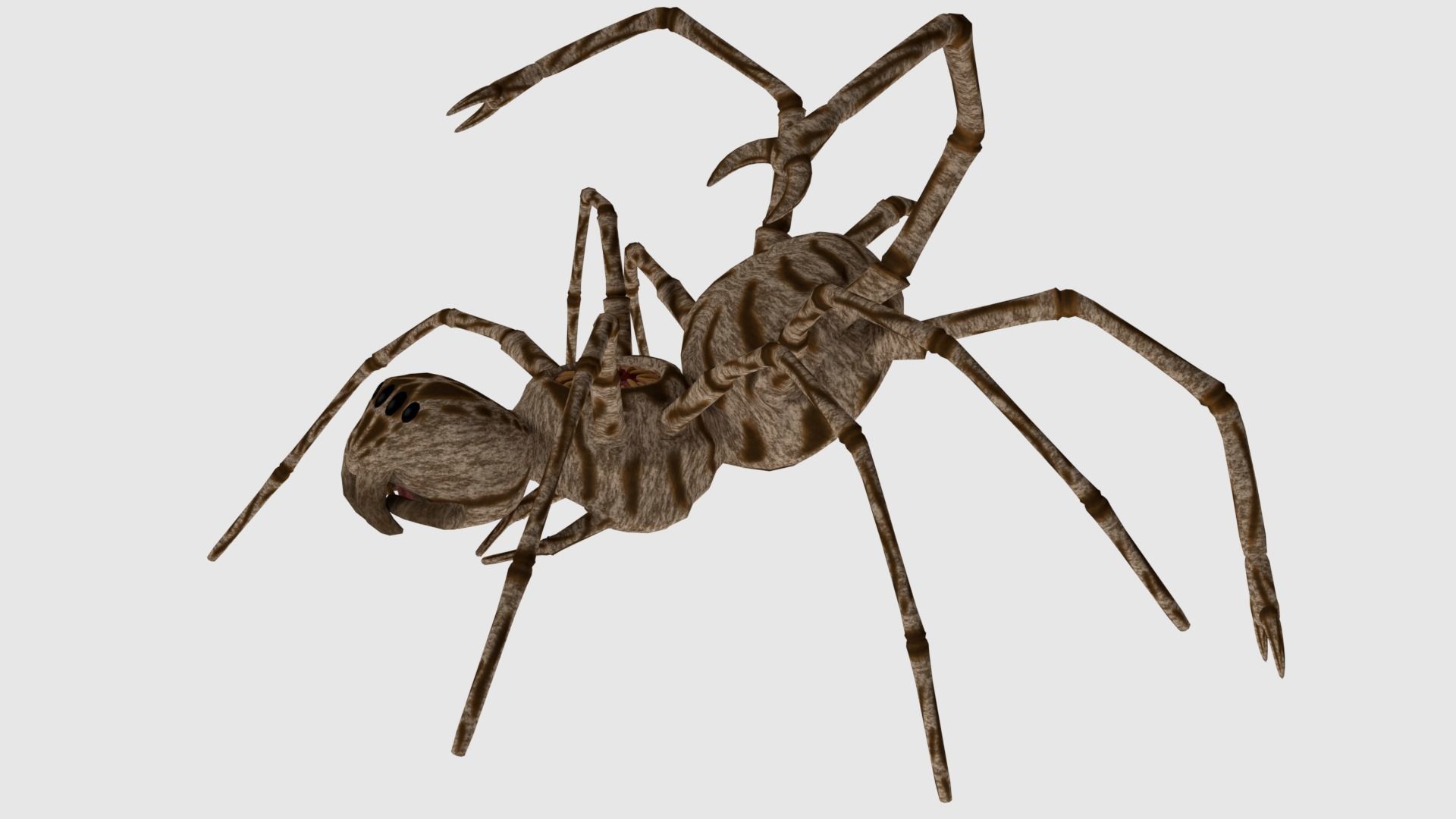 Spider Monster - Game Ready Low-poly 3D model_15