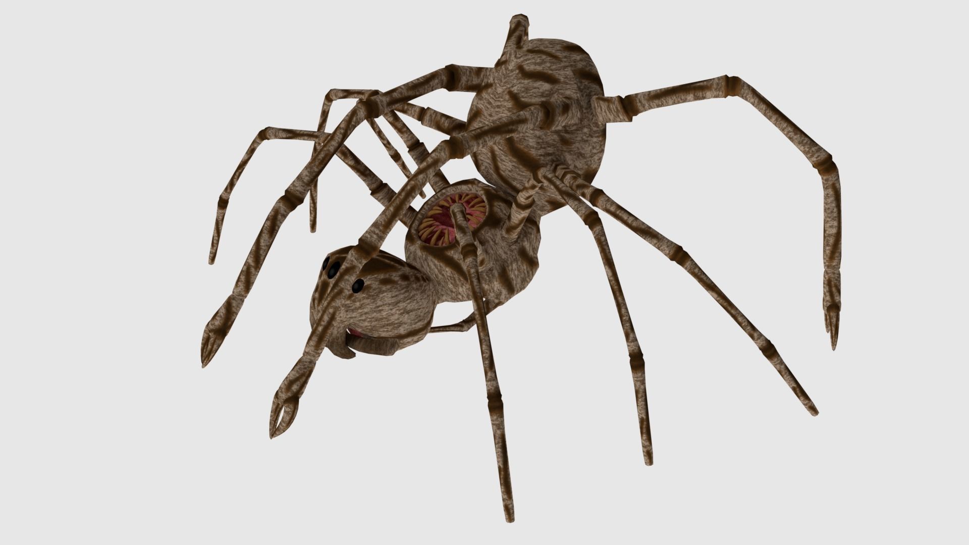 Spider Monster - Game Ready Low-poly 3D model_12