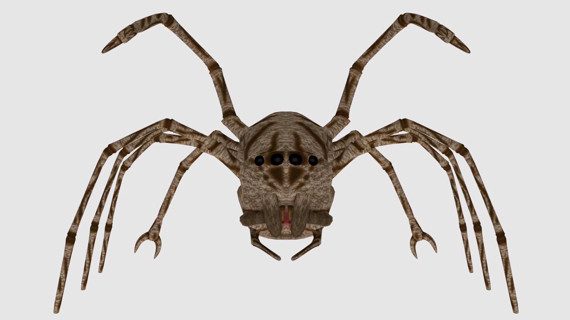 Spider Monster - Game Ready Low-poly 3D model_4