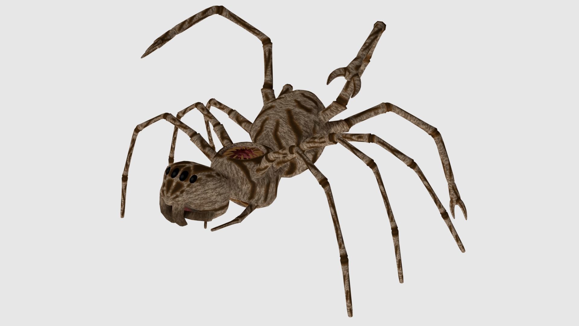 Spider Monster - Game Ready Low-poly 3D model_2