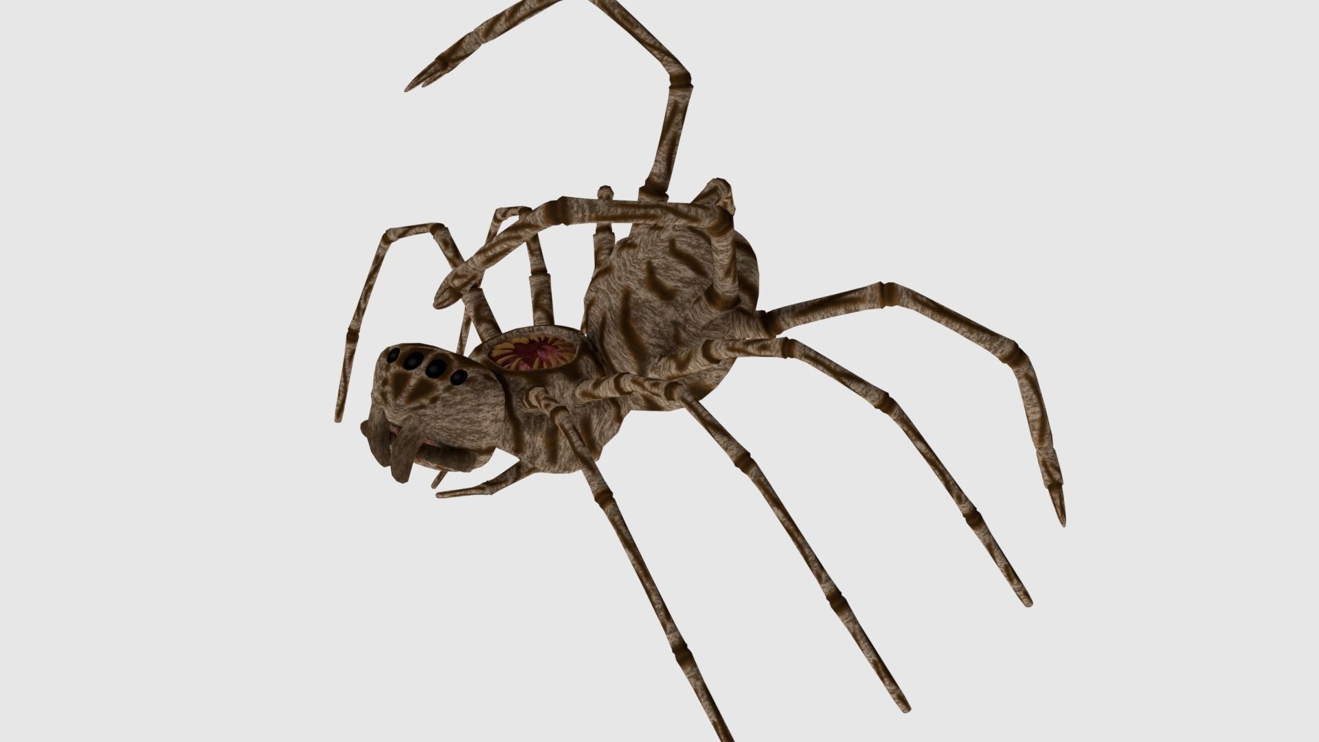 Spider Monster - Game Ready Low-poly 3D model_11