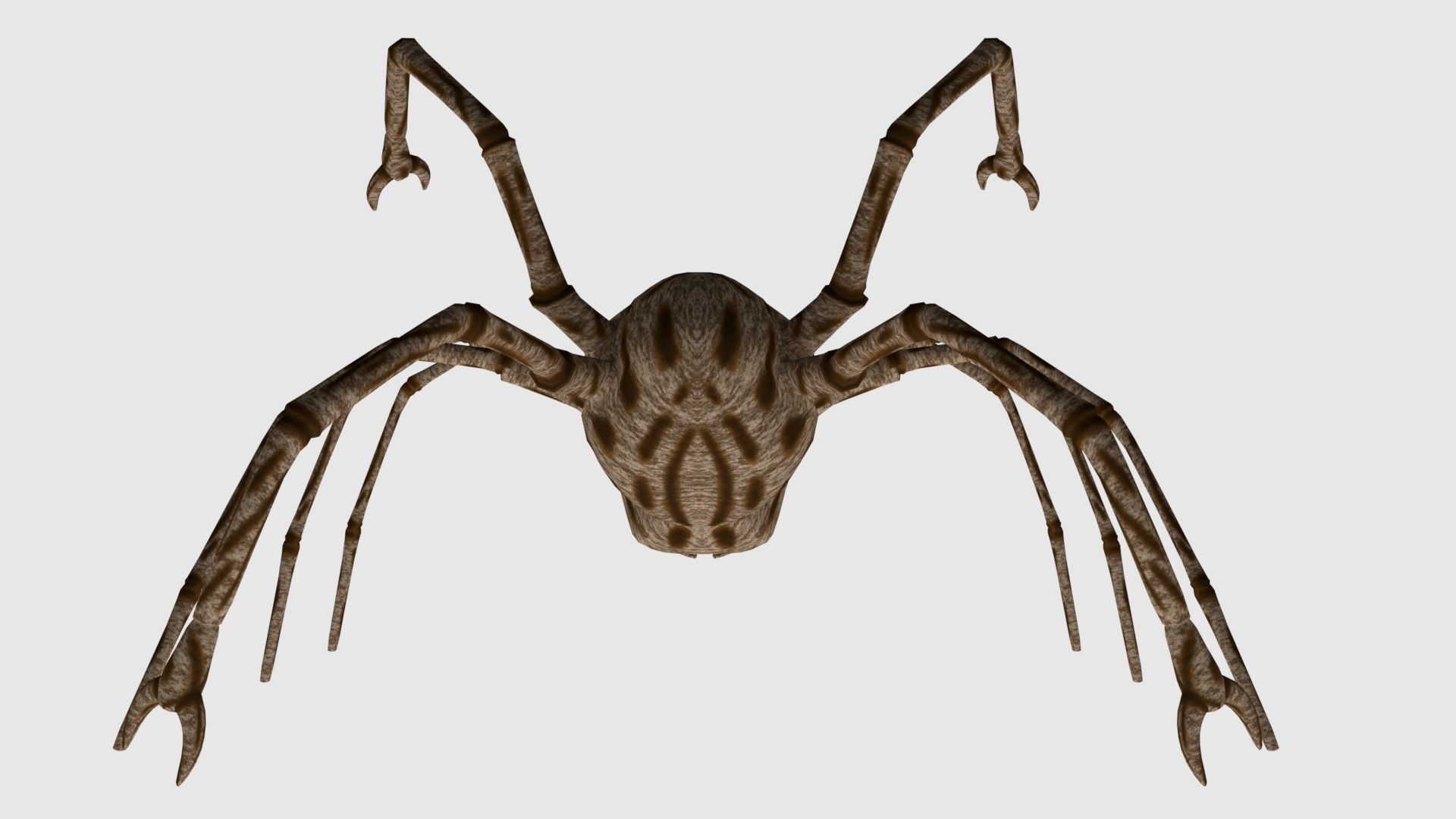 Spider Monster - Game Ready Low-poly 3D model_5