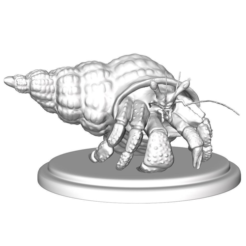 hermit crab model for 3d print 3D print model