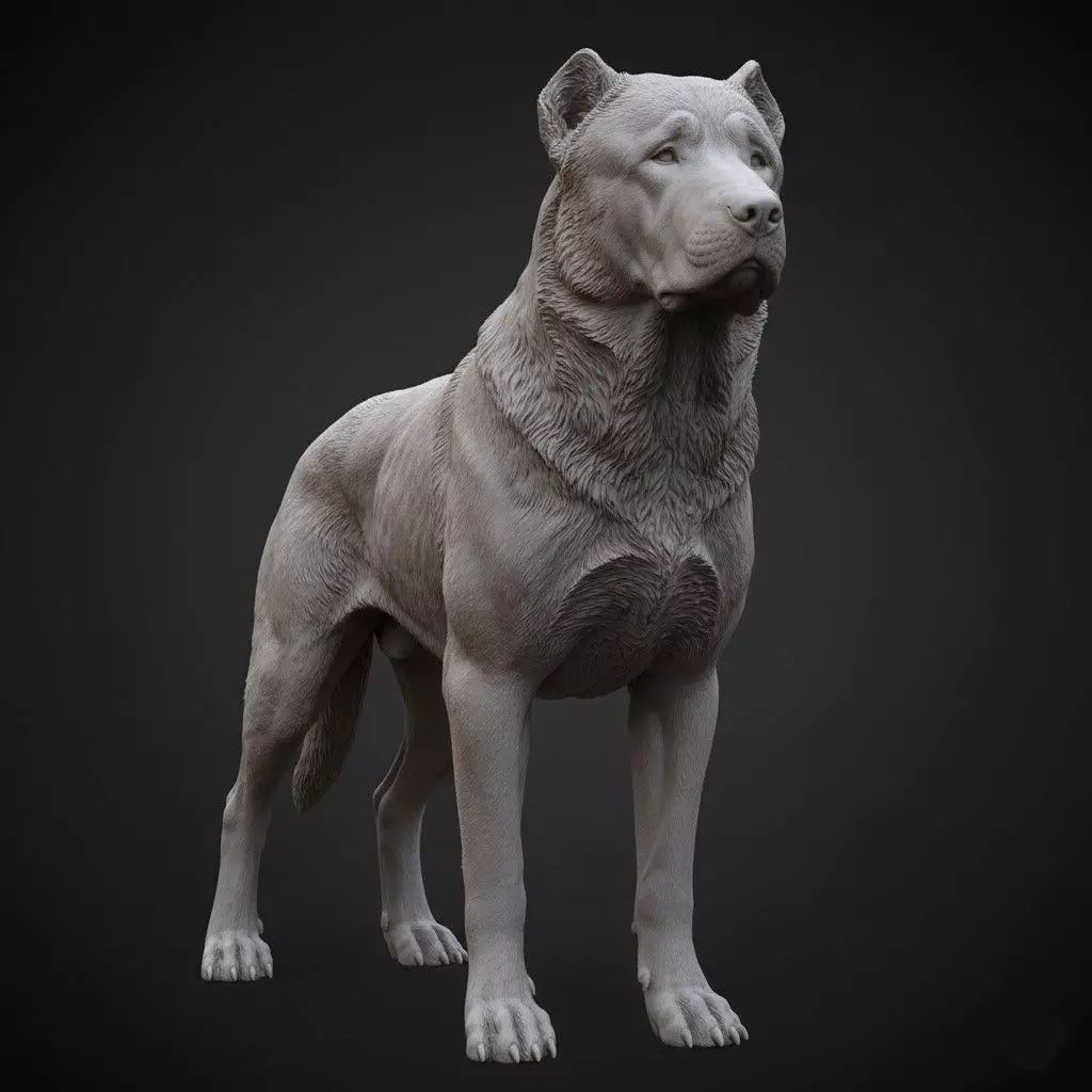 Kangal Dog Turkish Shepherd Realistic Kangal Dog 3D print model
