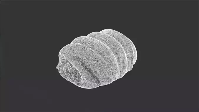 Sfogliatella 3D model 3
