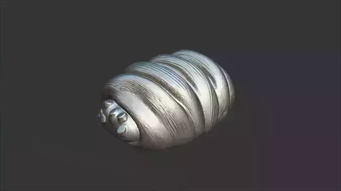 Sfogliatella 3D model 2