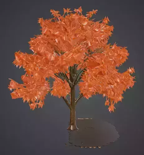 Maple Tree 3D model