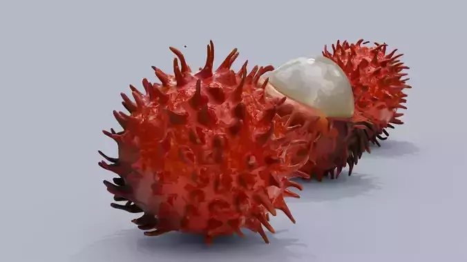 Exotic Rambutan 3D model 2