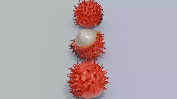 Exotic Rambutan 3D model 6