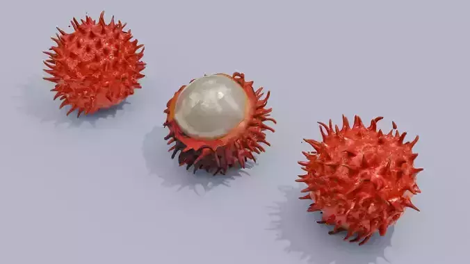 Exotic Rambutan 3D model 3