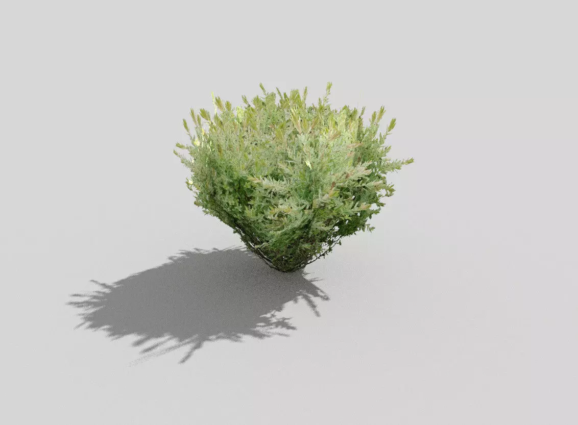 3D model tropical bush VR / AR / low-poly | CGTrader