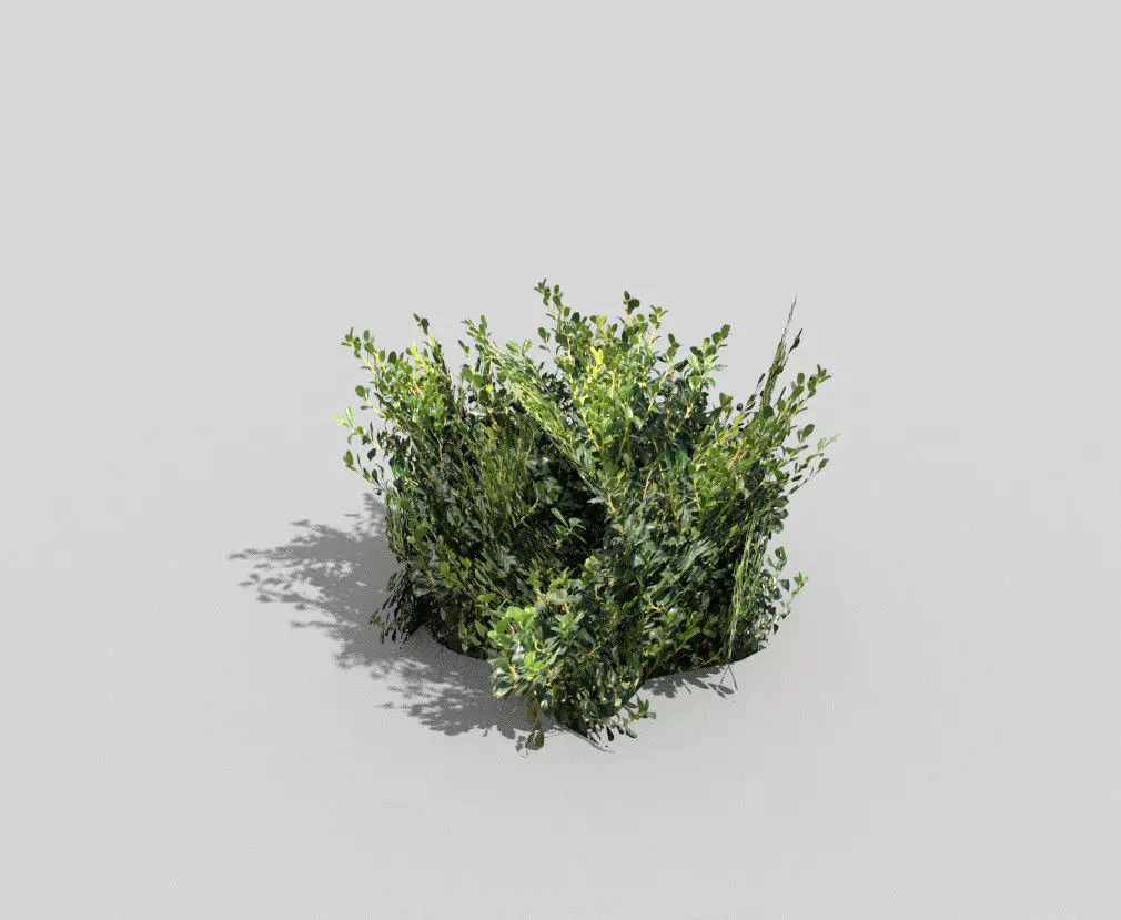 3D model tropical bush VR / AR / low-poly | CGTrader