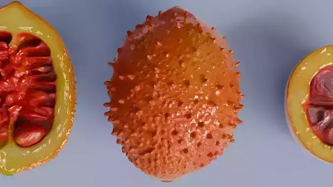 Gac Fruit 3D model 4