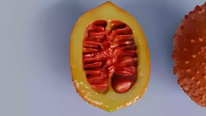 Gac Fruit 3D model 5