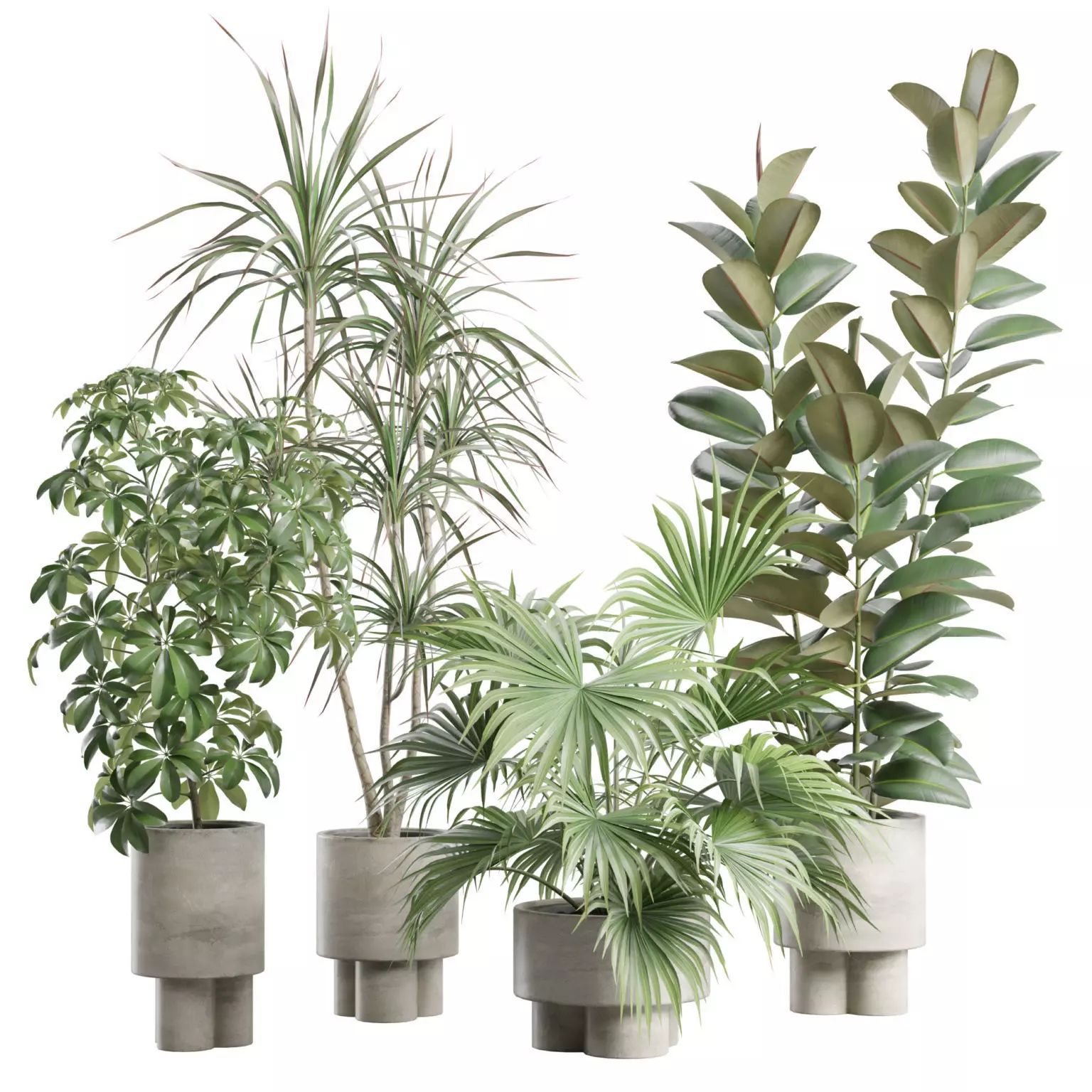 Indoor Plants Pack 108 3D model