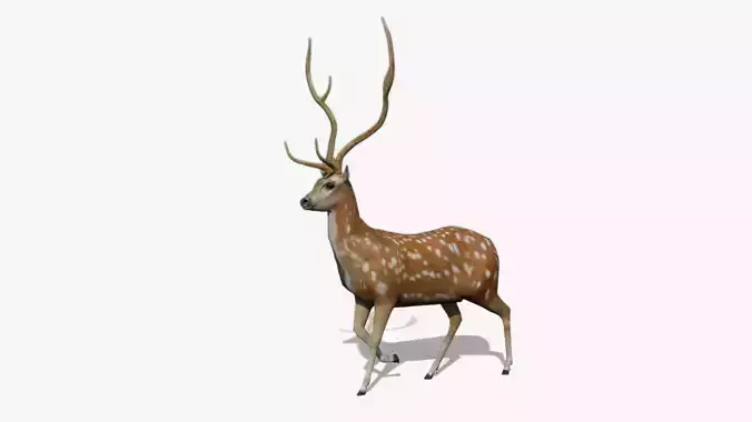Deer Animated Low-poly 3D model
