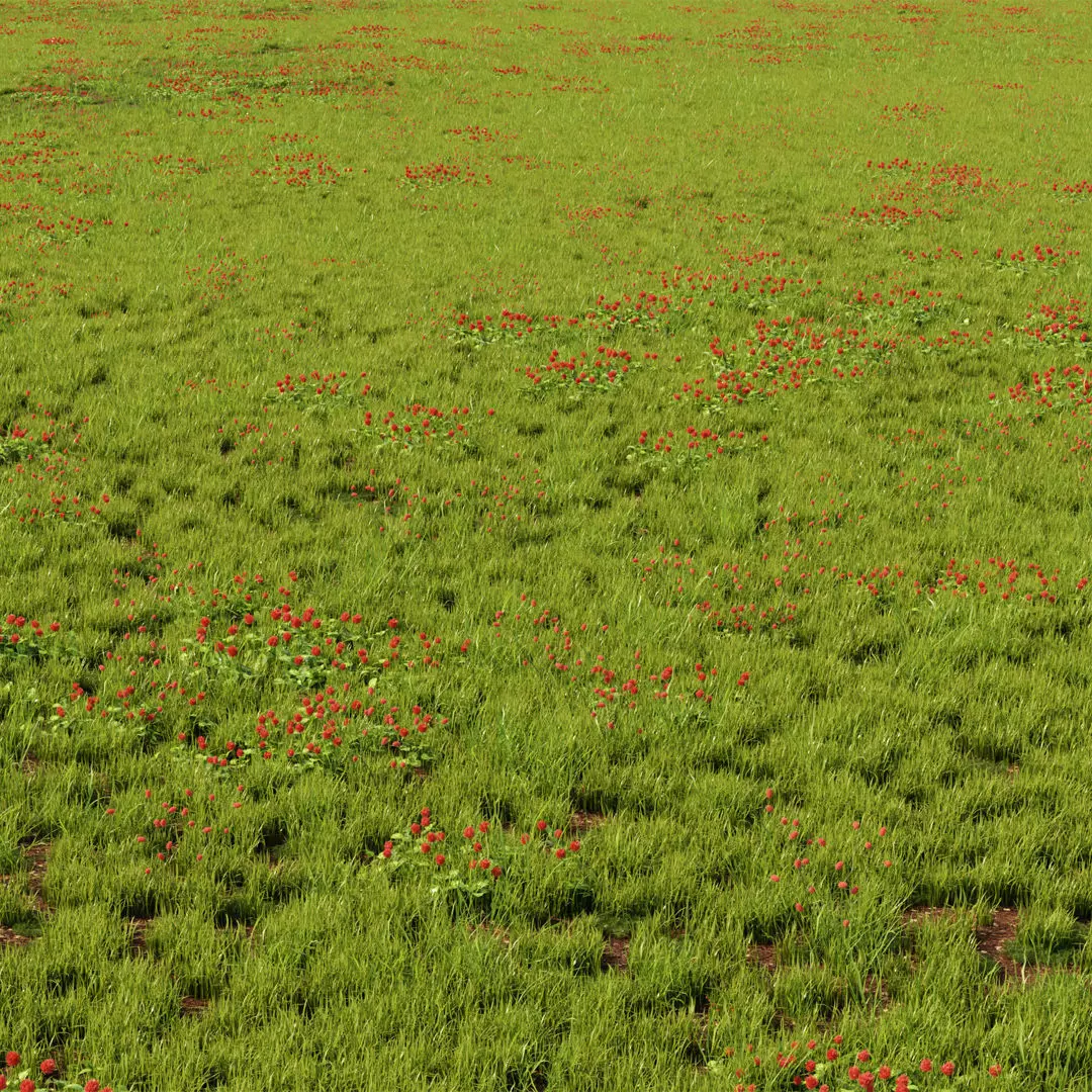 Meadow Grass - Geometry Nodes Blender 3D model