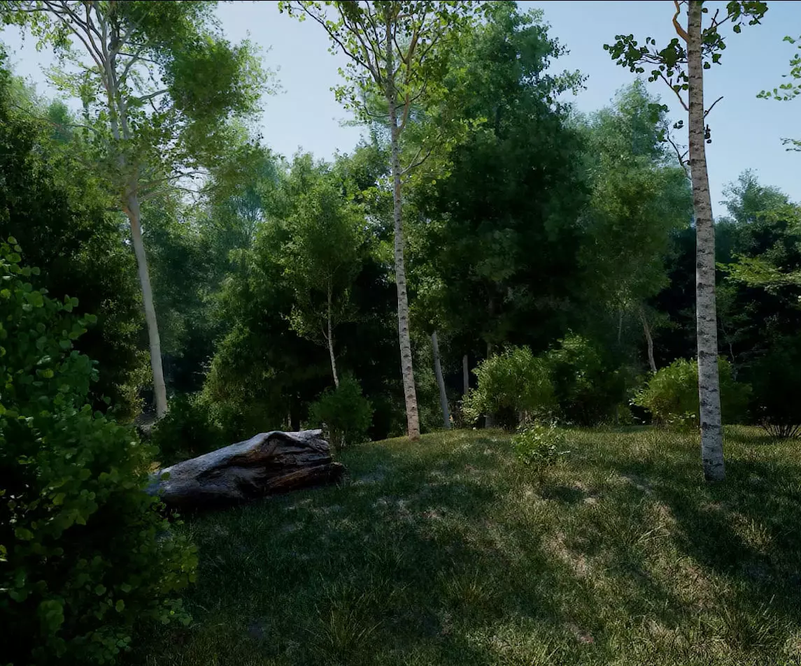 Unreal Engine 5 - Realtime PCG Nanite Forest 3D model