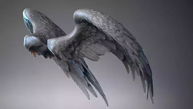 Wings - 4  I 3D Sculpting