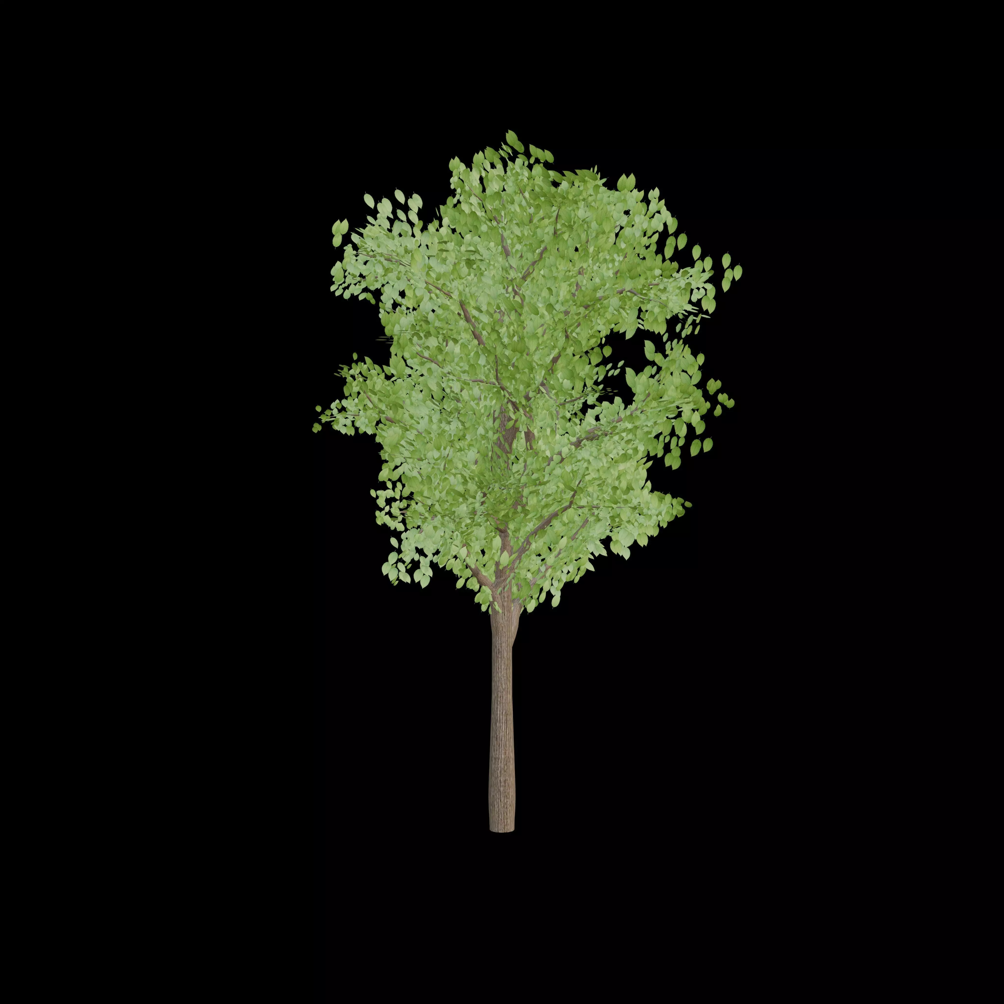 Realistic Green Leaf Tree 3D Model with Detailed Foliage 3D model