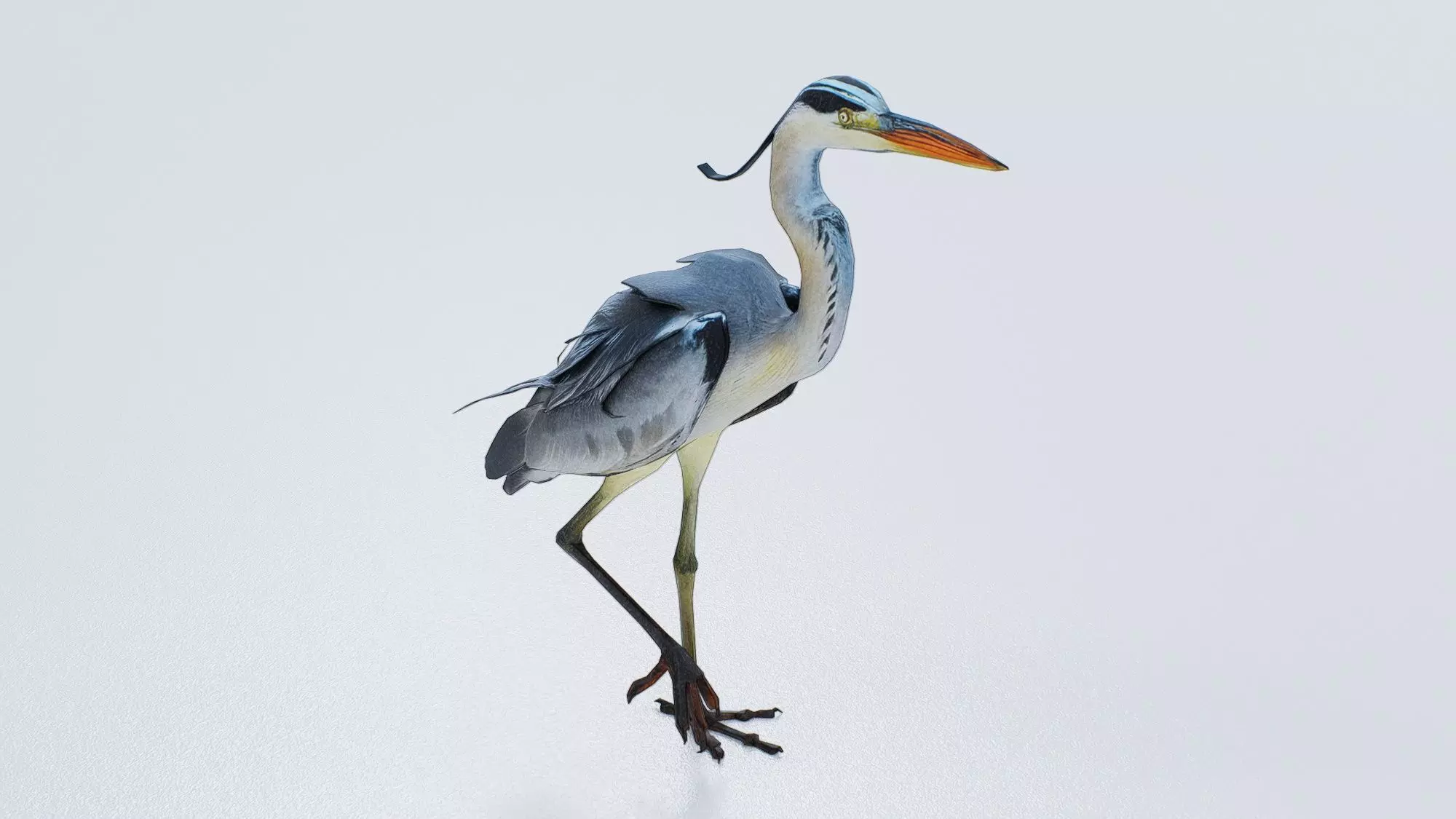 Heron Low-poly 3D model