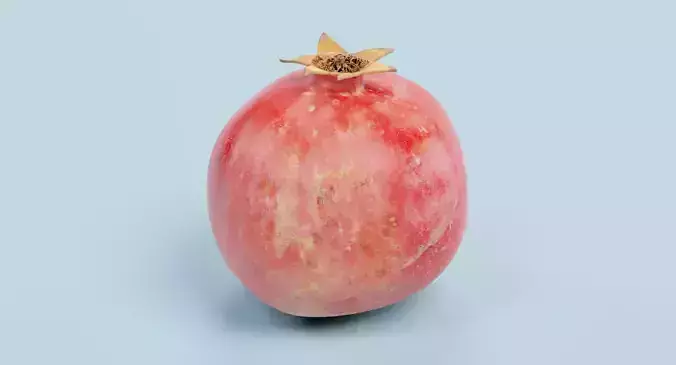 Pomegranate - Realistic Punica Granatum Fruit 3D model 3