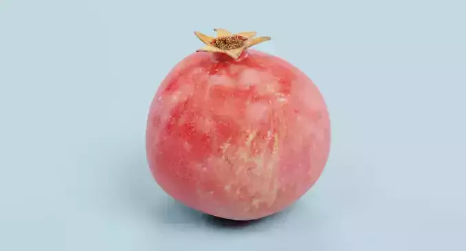 Pomegranate - Realistic Punica Granatum Fruit 3D model 2