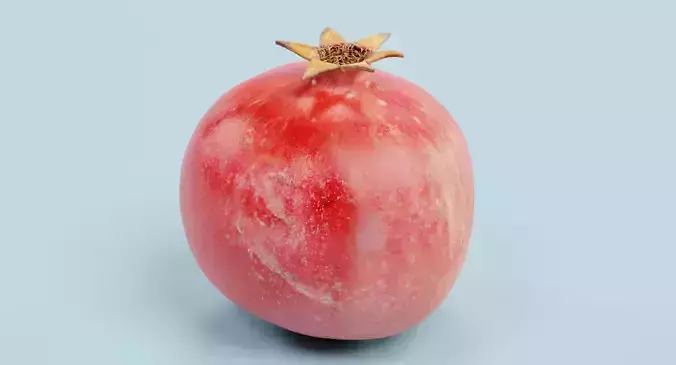 Pomegranate - Realistic Punica Granatum Fruit 3D model 4