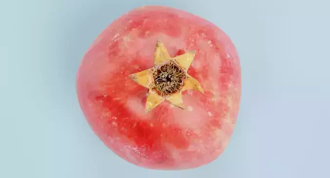Pomegranate - Realistic Punica Granatum Fruit 3D model 5