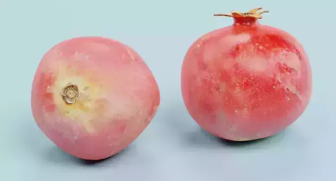 Pomegranate - Realistic Punica Granatum Fruit 3D model 6