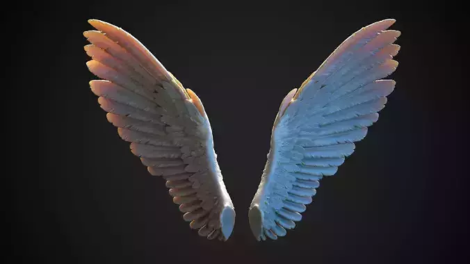 Wings - 5  I 3D Sculpting