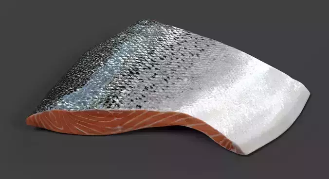 Salmon Fillet - Raw Fish Steak 3D model 4
