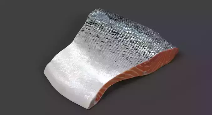 Salmon Fillet - Raw Fish Steak 3D model 5