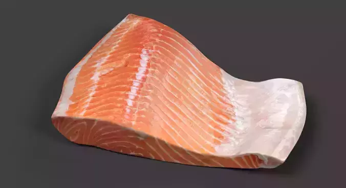 Salmon Fillet - Raw Fish Steak 3D model 2
