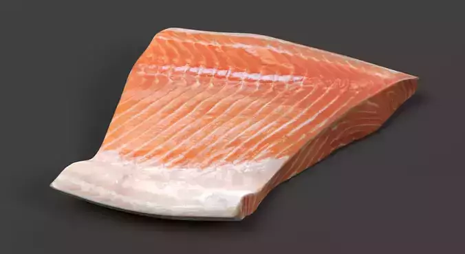 Salmon Fillet - Raw Fish Steak 3D model 3