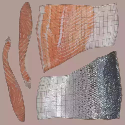 Salmon Fillet - Raw Fish Steak 3D model 7